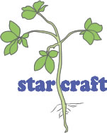 starcraft スタークラフト